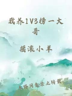 我养1V3榜一大哥