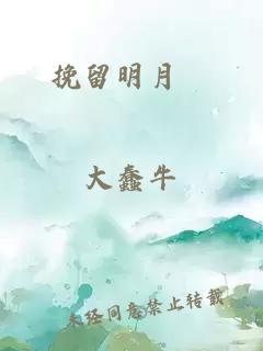 挽留明月珰