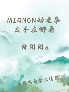 MIGNON动漫拳击手在哪看