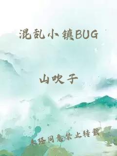 混乱小镇BUG