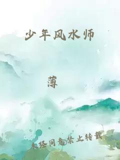 少年风水师