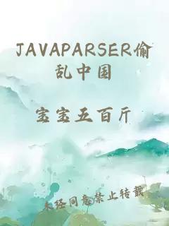 JAVAPARSER偷乱中国