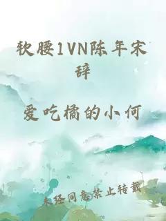 软腰1VN陈年宋辞