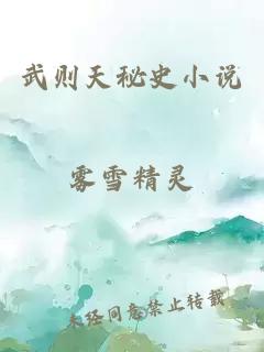 武则天秘史小说