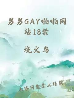 男男GAY啪啪网站18禁