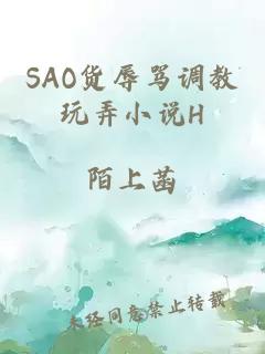 SAO货辱骂调教玩弄小说H