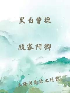 黑白曹操