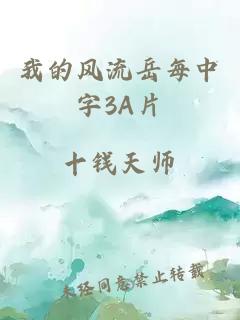 我的风流岳每中字3A片