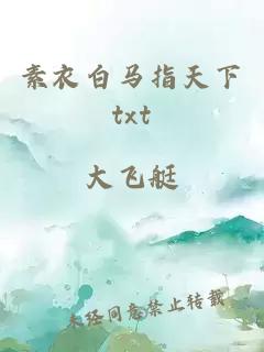 素衣白马指天下txt