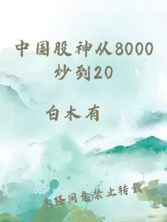 中国股神从8000炒到20