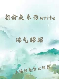 朝俞夹东西write