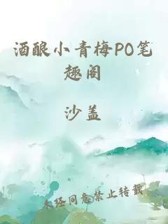 酒酿小青梅PO笔趣阁