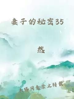 妻子的秘密35