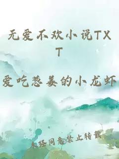 无爱不欢小说TXT