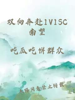 双向奔赴1V1SC南望