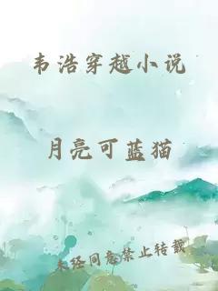 韦浩穿越小说