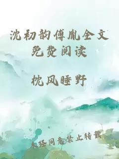 沈初韵傅胤全文免费阅读