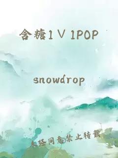 含糖1∨1POP