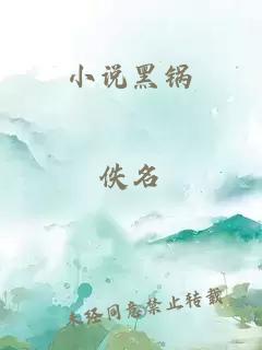 小说黑锅