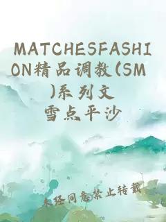 MATCHESFASHION精品调教(SM )系列文