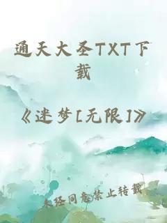 通天大圣TXT下载