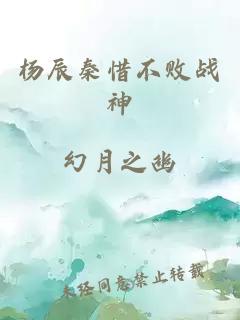 杨辰秦惜不败战神