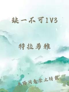 缺一不可1V3