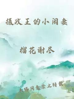 摄政王的小闲妻