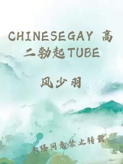 CHINESEGAY 高二勃起TUBE