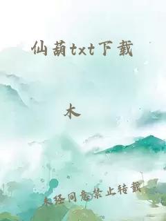 仙葫txt下载