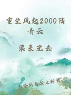 重生风起2000陆青云