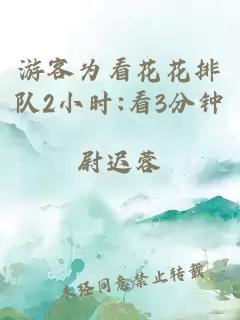 游客为看花花排队2小时:看3分钟