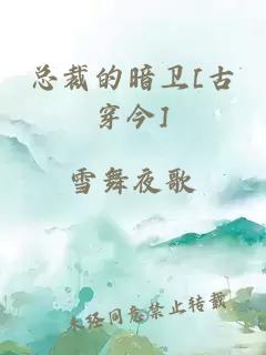 总裁的暗卫[古穿今]