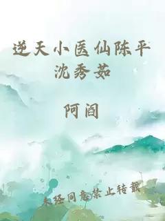 逆天小医仙陈平沈秀茹