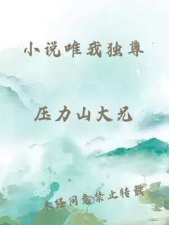 小说唯我独尊