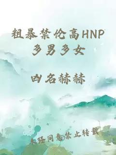 粗暴禁伦高HNP多男多女