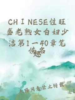 CHⅠNESE性旺盛老熟女白妇少洁第1一40章笔趣