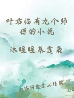 叶君临有九个师傅的小说