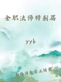 全职法师特别篇