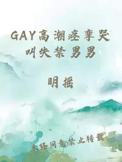 GAY高潮痉挛哭叫失禁男男