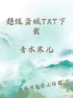 超级盗贼TXT下载