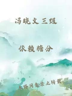 冯晓文三级