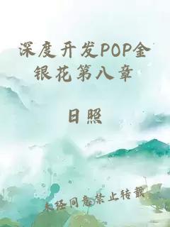 深度开发POP金银花第八章