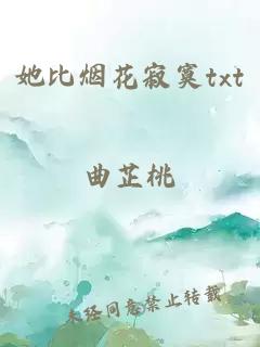 她比烟花寂寞txt