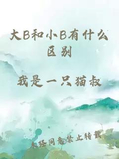 大B和小B有什么区别