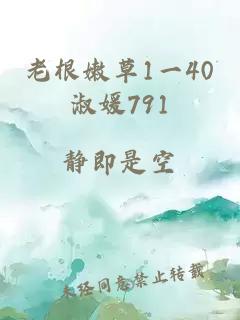 老根嫩草1一40淑媛791