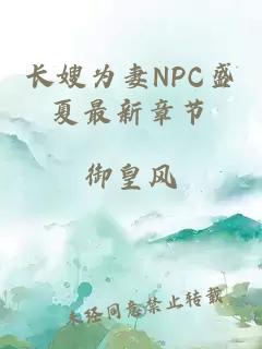 长嫂为妻NPC盛夏最新章节