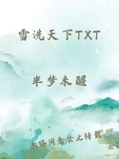 雪洗天下TXT