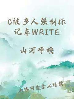 O被多人强制标记车WRITE