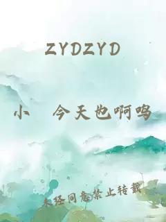 ZYDZYD